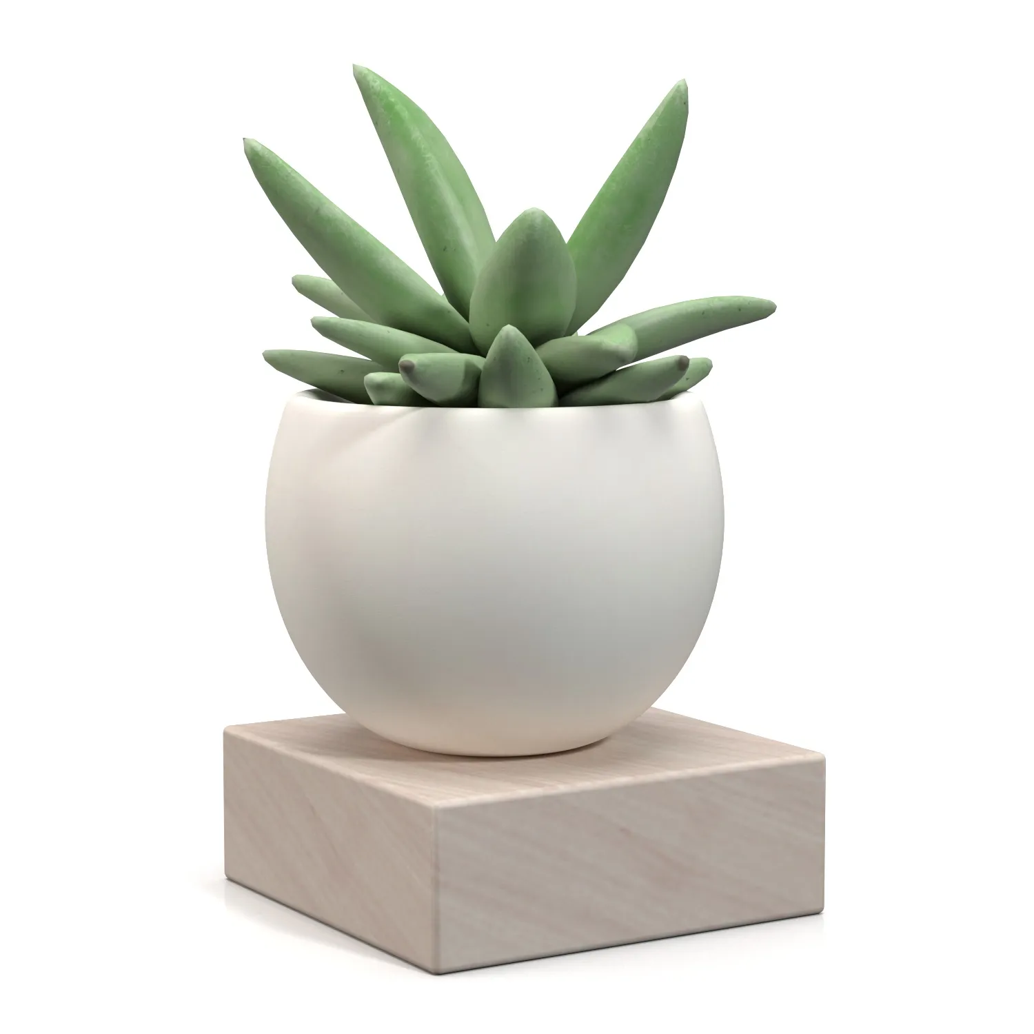 Mini Decorative Fake Succulent Artificial Plants PBR 3D Model_01